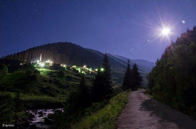 Ayılar K&ouml;yl&uuml;lere Rahat Y&uuml;z&uuml; G&ouml;stermiyor 1