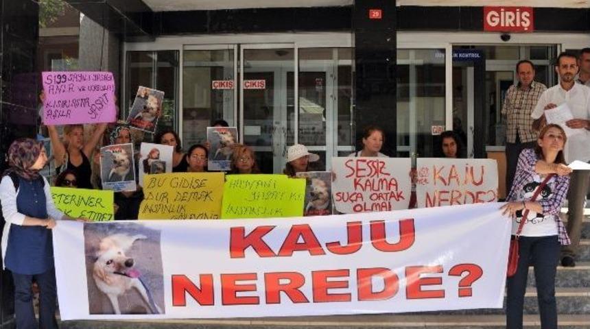 Yalovalı Hayvanseverlerden Eylem