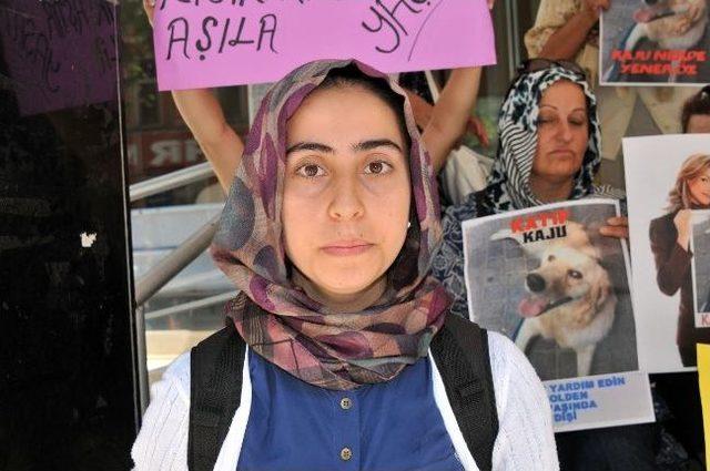 Yalovalı Hayvanseverlerden Eylem 1