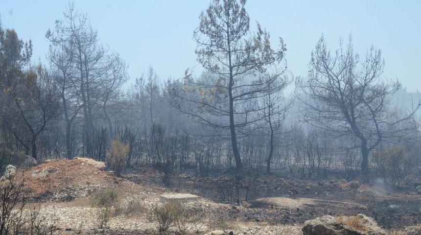 Antalya&rsquo;da &Ccedil;ıkan Yangın Alanında Benzin Bidonları Bulundu