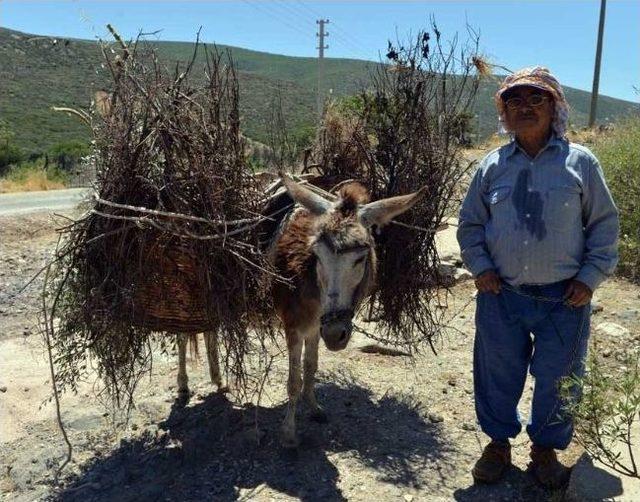 Başbakan Erdoğan ı Caminin A&ccedil;ılışına Bekliyorlar 1