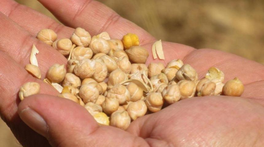 Gaziantep'ten Kısa Kısa