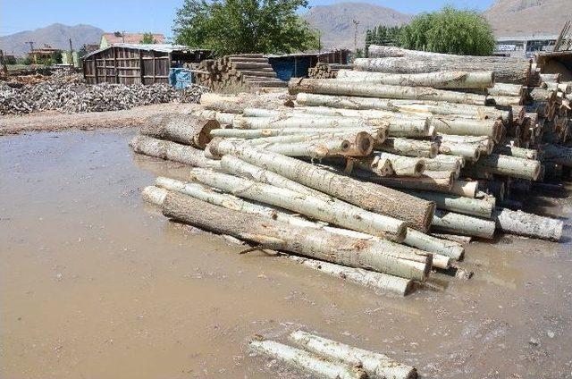 Odun Ambarlarını Su Bastı 2