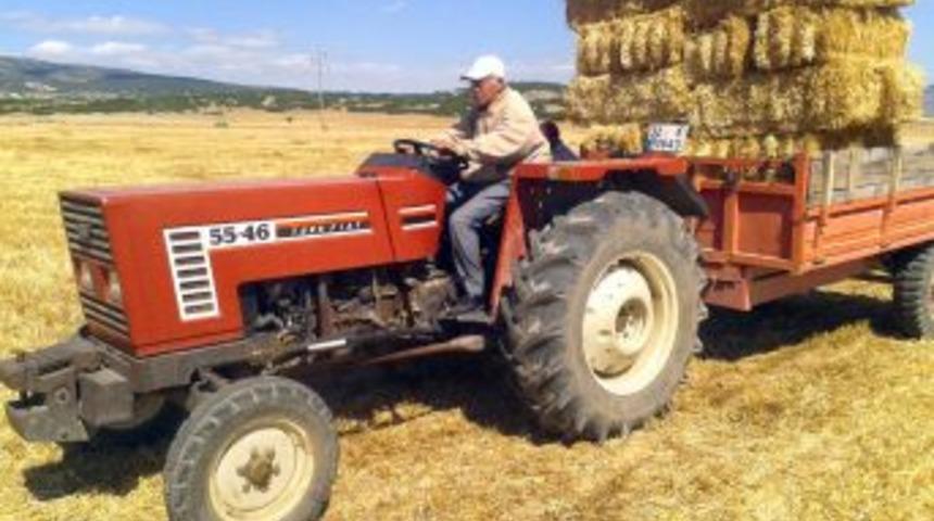 Arpa Ve Buğday Hasadı Başladı