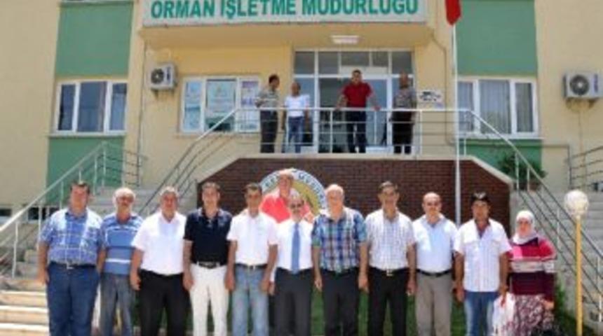 Erdemli’de 600 Dönüm Arazide Özel Ağaçlandırma Yapılacak