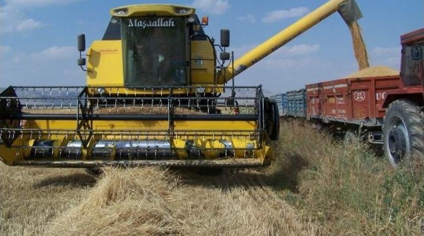 Karaman&rsquo;da Hububat Y&uuml;z G&uuml;ld&uuml;r&uuml;yor