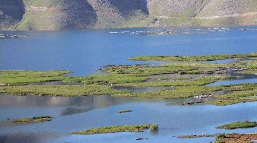 Y&uuml;zen Adaların Korunması Ve Temizlenmesi İ&ccedil;in Kampanya Başlatıldı