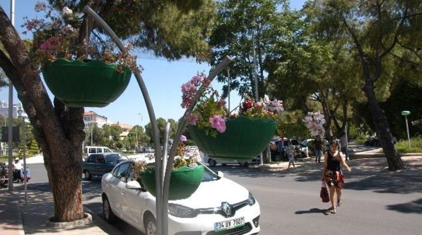Muğla Sokakları &Ccedil;i&ccedil;ek A&ccedil;tı