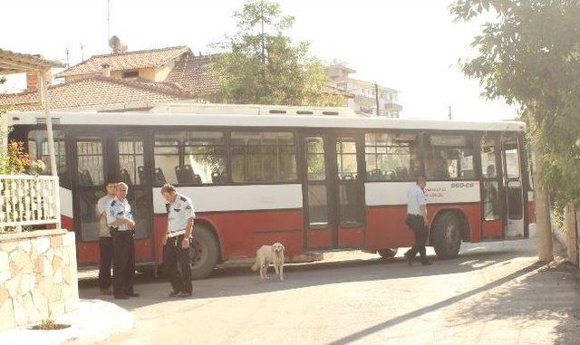 Yolcuyu Yaralayan Sürücüye Şartlı Tahliye