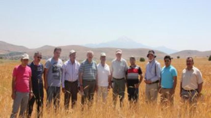 Uluslararası Mısır Ve Buğday Geliştirme Merkezi Yetkilileri Nevşehir&rsquo;de