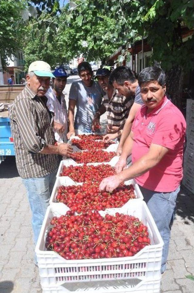 Dağkızılca'da Kiraz Erken Bitti