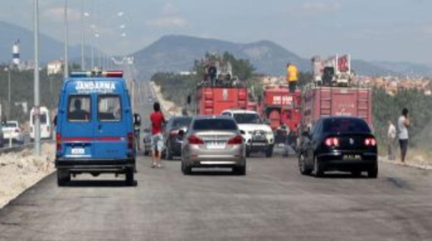 Altınoluk'ta 5 D&ouml;n&uuml;m Zeytinlik Alan Yangında Zarar G&ouml;rd&uuml;