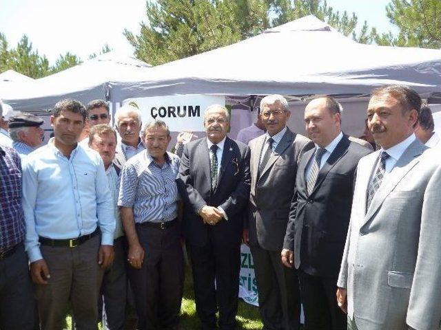  halk Elinde Koyun-ke&ccedil;i Islahı &Uuml;lkesel Projesi nin Tanıtımına &Ccedil;orum&rsquo;dan Katılım 1