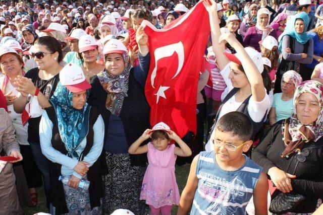 &Ccedil;elik-İş Sendikası Genel Başkanı G&uuml;l: 1