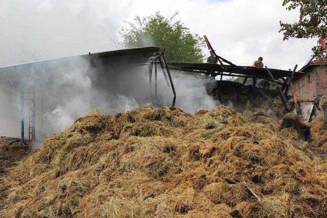 15 Tanker Su Samanlığı S&ouml;nd&uuml;rmeye Yetmedi 1