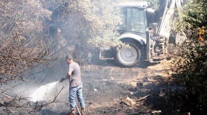 G&uuml;re&rsquo;de Zeytin Ağa&ccedil;ları Yandı