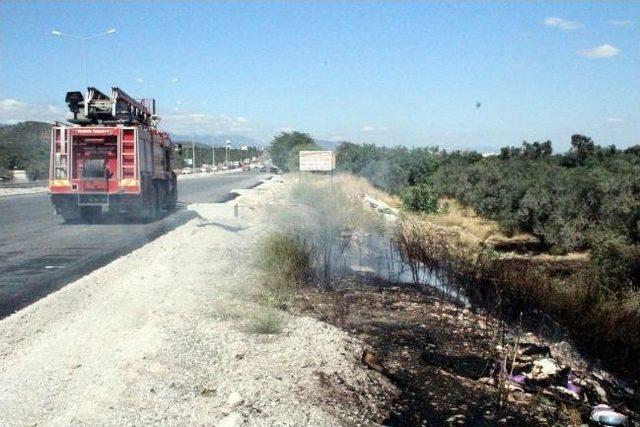 G&uuml;re&rsquo;de Zeytin Ağa&ccedil;ları Yandı 2