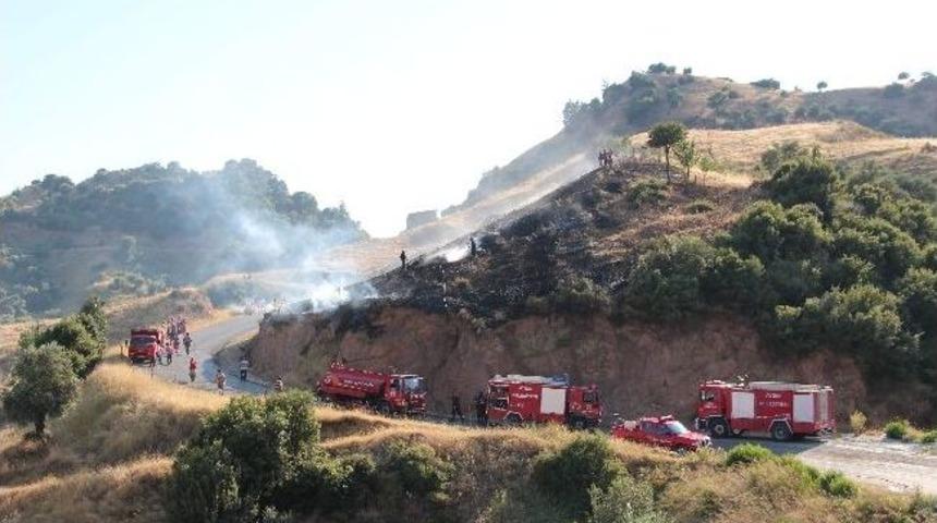 Aydın'da orman yangını