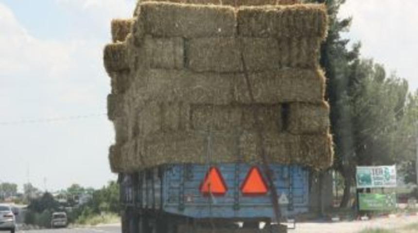 Rekolte Y&uuml;ksekliği Samana Da Yansıdı