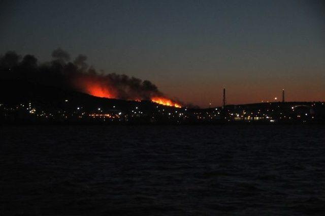 İzmir'de Orman Yangını