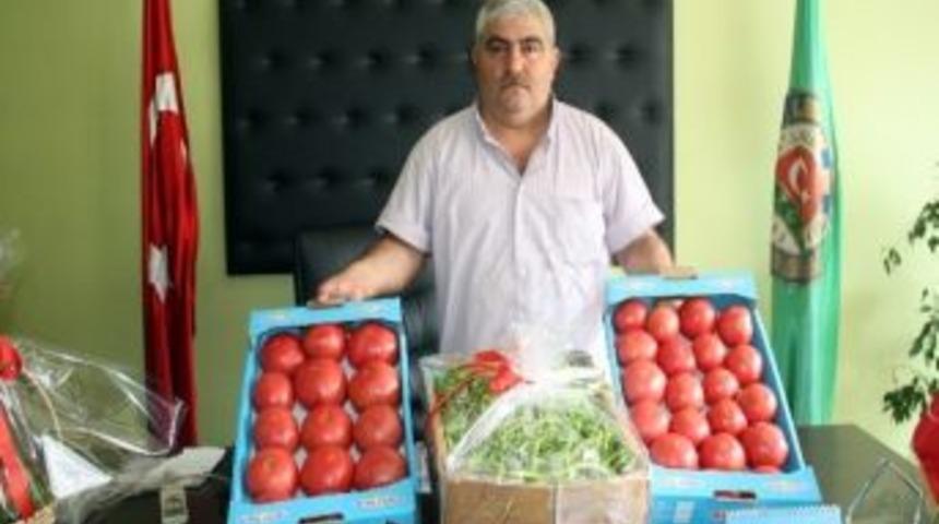 Pembe Domates Fiyat Artışından Etkilenmeyecek
