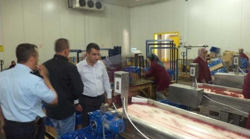 Kaymakam Çınar, Soğuk Hava Entegre Tesisleri'nde İnceledi