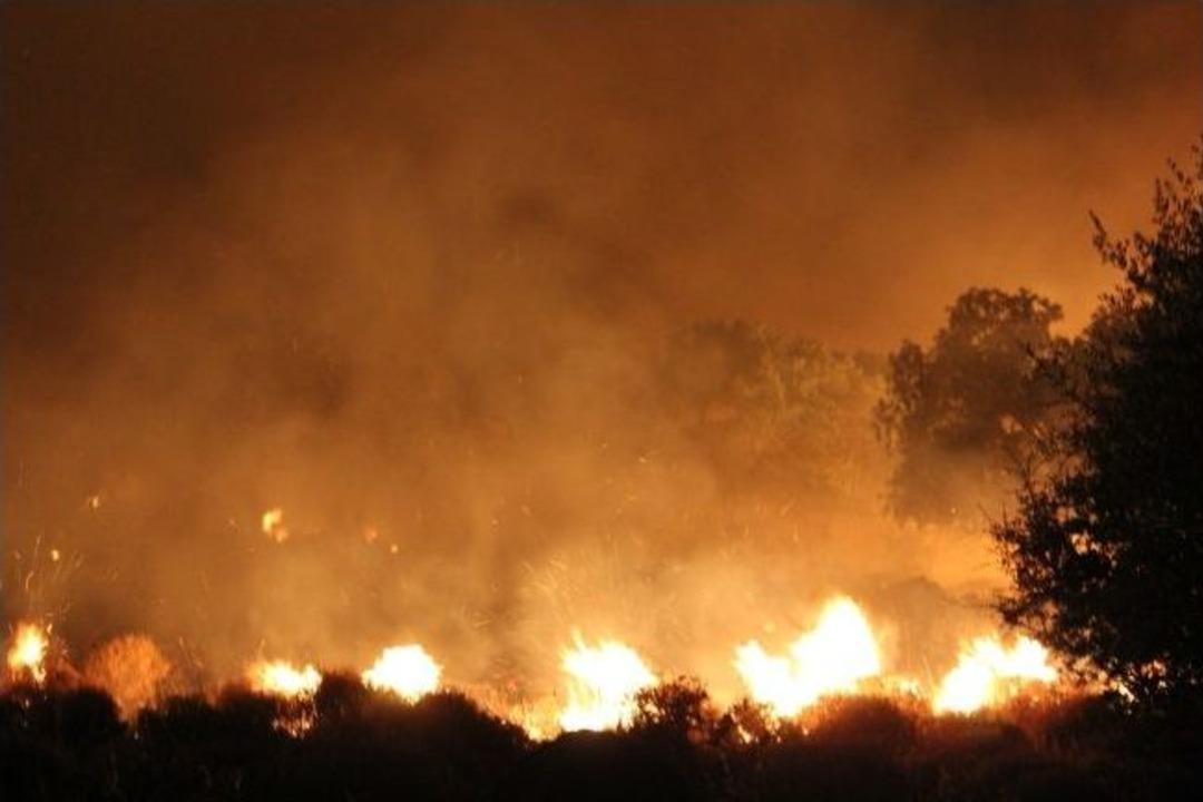 &Ccedil;andarlı'da Orman Yangını S&ouml;nd&uuml;r&uuml;ld&uuml;