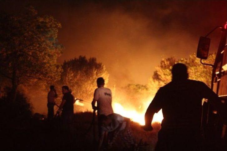 Çandarlı'da Orman Yangını Söndürüldü G1