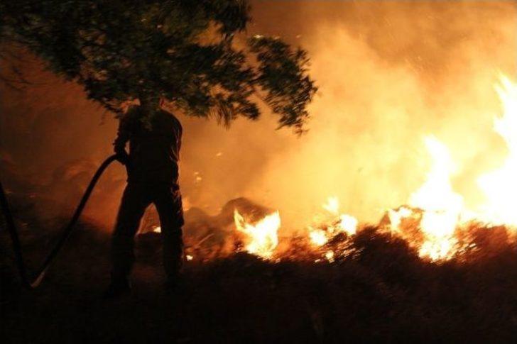 Çandarlı'da Orman Yangını Söndürüldü G2