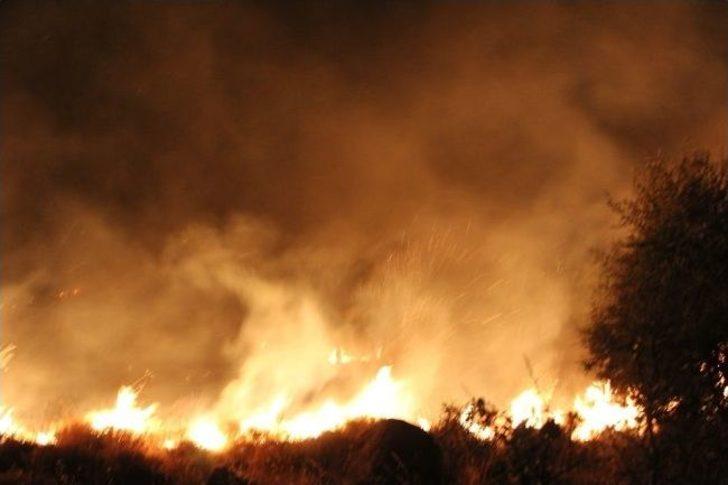 Çandarlı'da Orman Yangını Söndürüldü G3