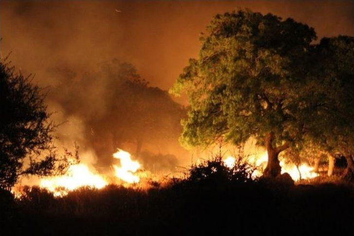 Çandarlı'da Orman Yangını Söndürüldü G4