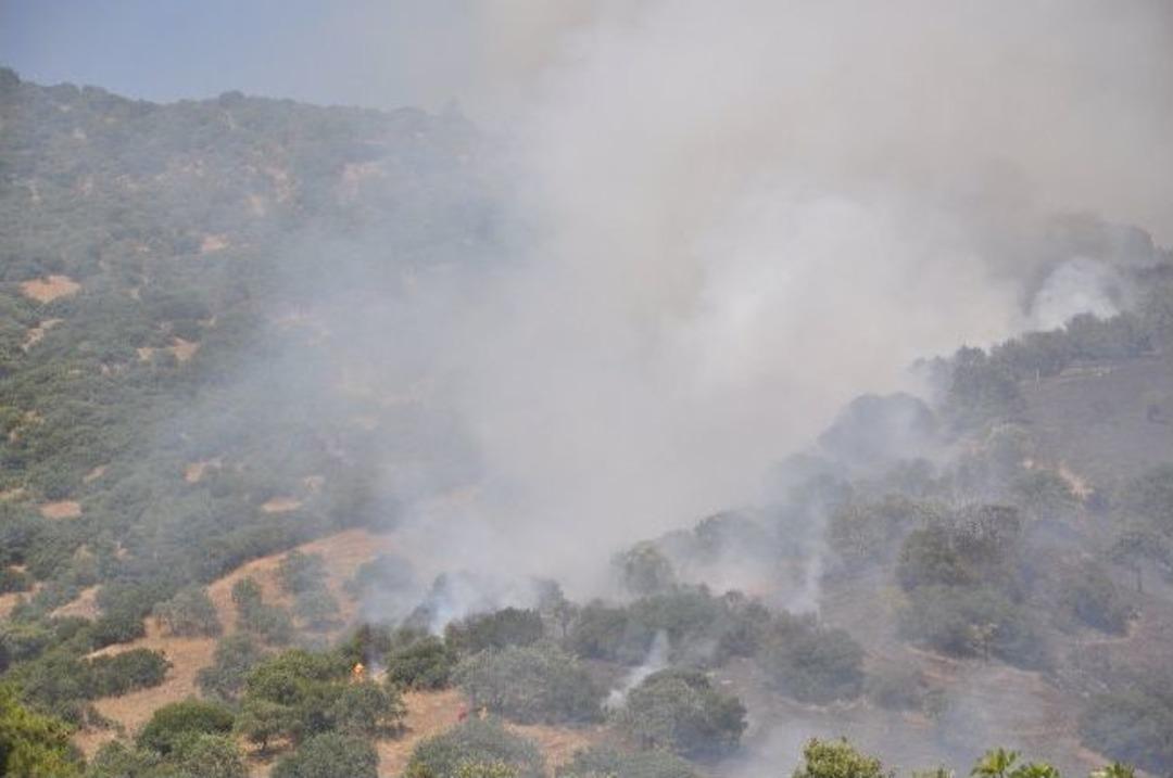 Kuyucak&rsquo;taki Orman Yangınına M&uuml;dahale S&uuml;r&uuml;yor