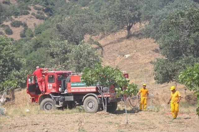 Kuyucak&rsquo;taki Yangın 35 Saatte S&ouml;nd&uuml;r&uuml;ld&uuml; 3