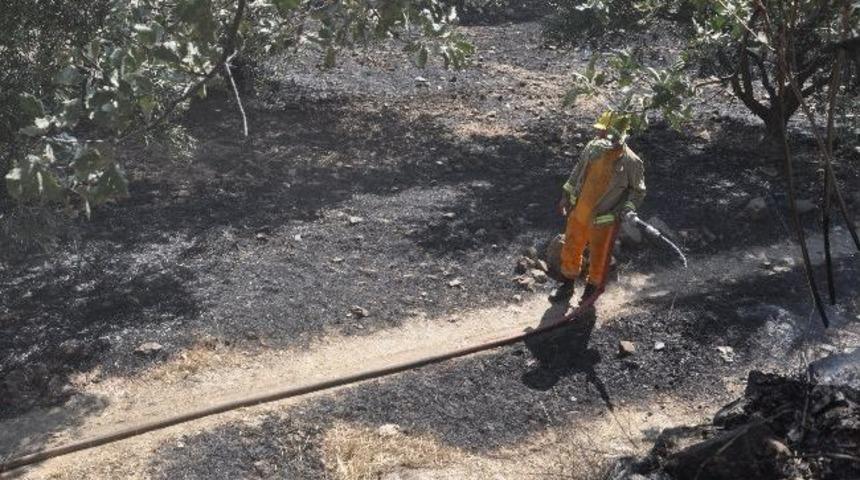 Kuyucak&rsquo;taki Yangın 35 Saatte S&ouml;nd&uuml;r&uuml;ld&uuml;