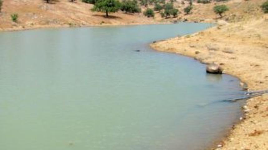 G&ouml;letteki Balıklar Isı Değişikliğinden &Ouml;ld&uuml;