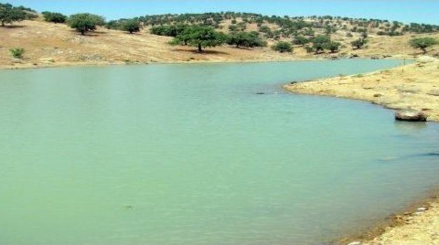 Uşak&rsquo;ta Isı Değişikliğine Bağlı Balık &Ouml;l&uuml;mleri