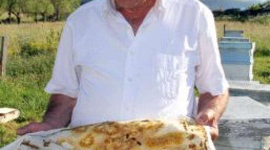 Ardahan'da Havalar Arıcıları Olumlu Etkiliyor