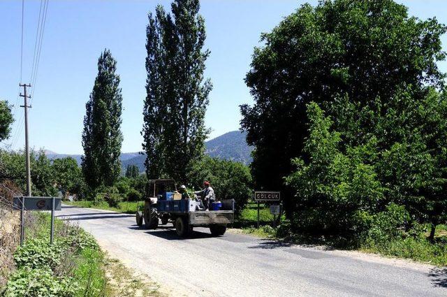 Belediye Her Yaz Halkıyla Yaylaya Göçüyor