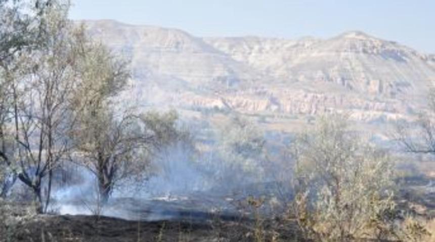 &Uuml;rg&uuml;p&rsquo;te 200 D&ouml;n&uuml;m Tarım Alanı Yandı