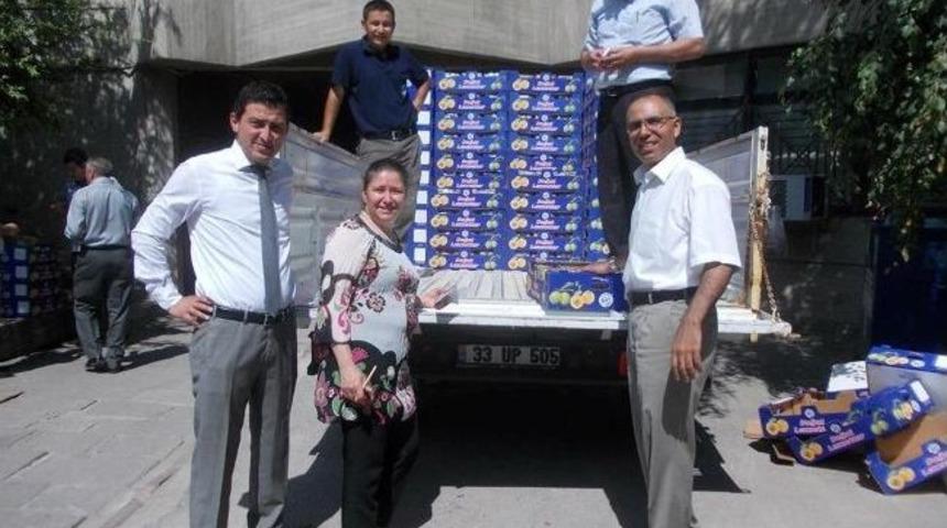 Vekillere 4 Bin Paket Mut Kayısısı Dağıtıldı