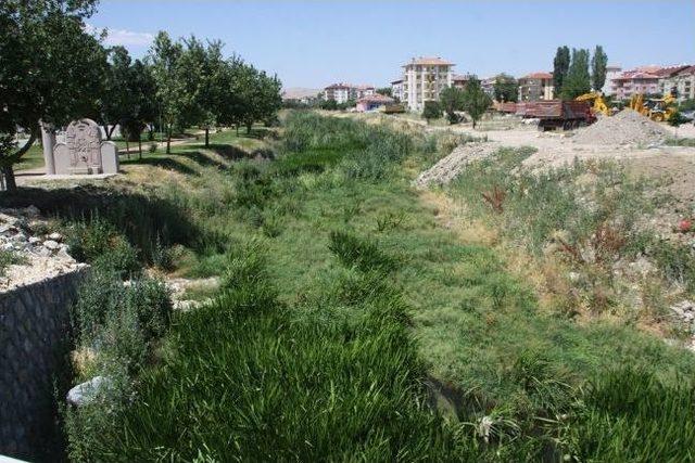 &Ccedil;ubuk &Ccedil;ayı Islah Edilecek 1