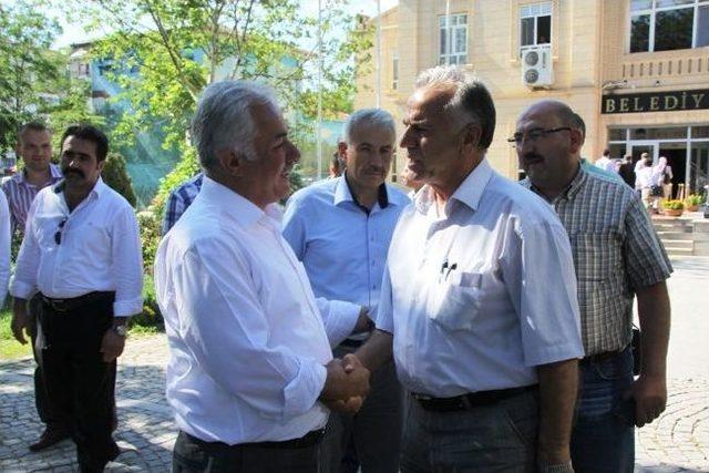 &Ccedil;ubuk &Ccedil;ayı Islah Edilecek 2