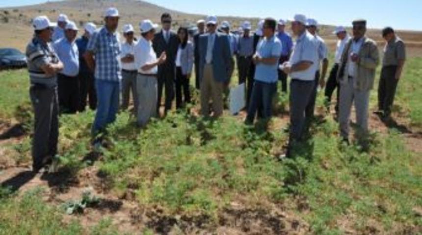 K&uuml;tahya Gıda Tarım Ve Hayvancılık İl M&uuml;d&uuml;r&uuml; Halil Yorulmaz: