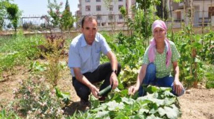 Organik Hobi Bah&ccedil;esi Fatma Abla&rsquo;ya Emanet