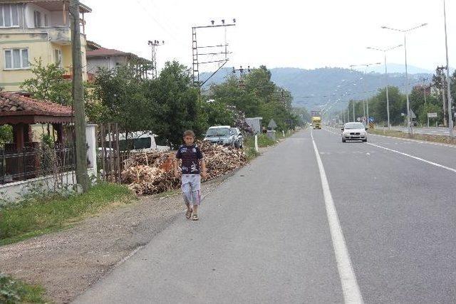 Denize Tonlarca Odun Ve Kütük Yığıldı