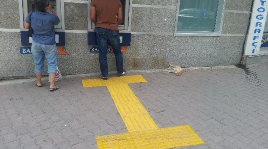 Bir Garip Engelli Yolu