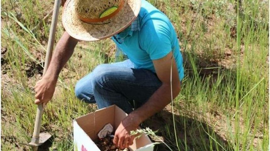 Ka&ccedil;ak Olarak Toplayanlara 101 Bin Tl Ceza Kesildi