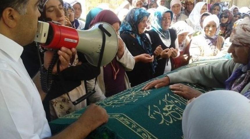 Boğa, Sahibini &Ouml;ld&uuml;rd&uuml;