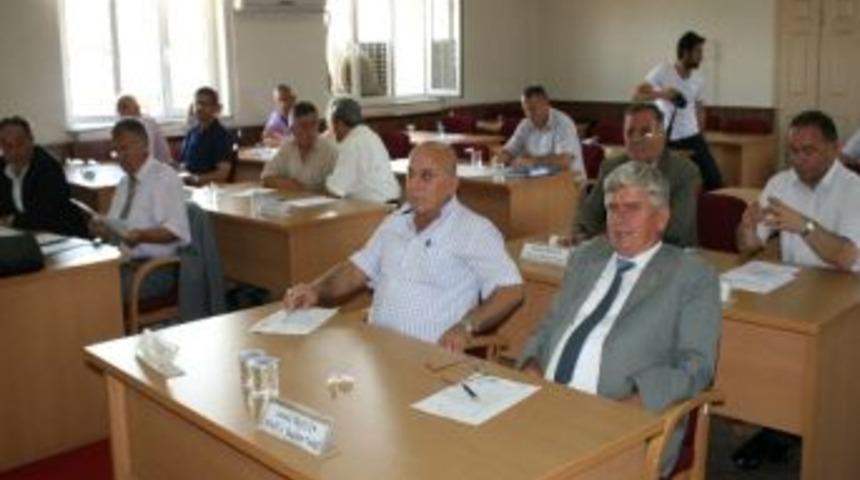 Gen&ccedil;lik Faaliyetlerini Araştırdılar