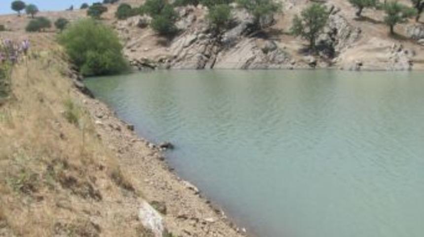 Uşak&rsquo;taki Balıklar Oksijensizlikten &Ouml;lm&uuml;ş